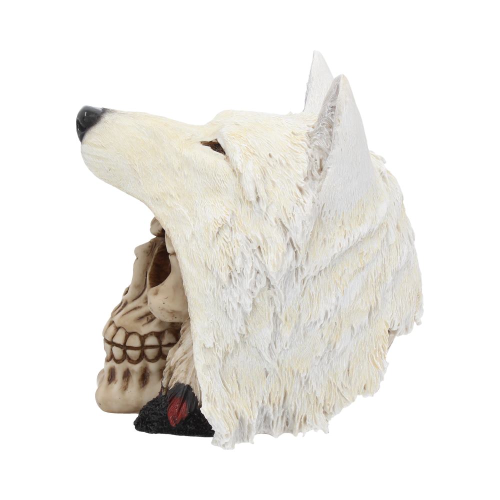 Night Wolf Skull 15.6cm - Image 3