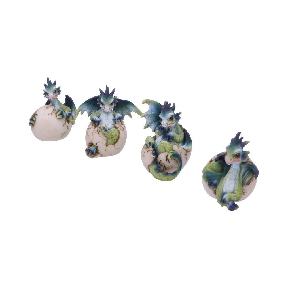 Set of Four Hatchlings Emergence Dragonling Hatching from Egg Figurine - Image 2