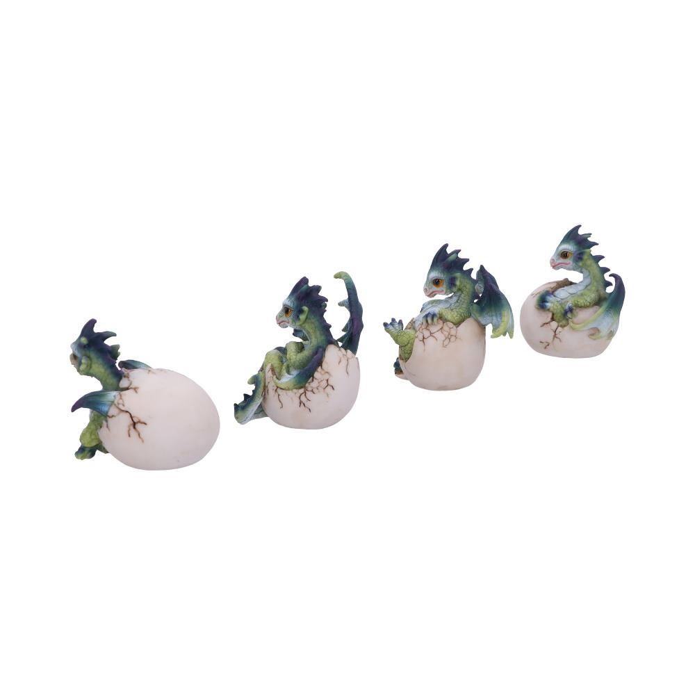 Set of Four Hatchlings Emergence Dragonling Hatching from Egg Figurine - Image 3