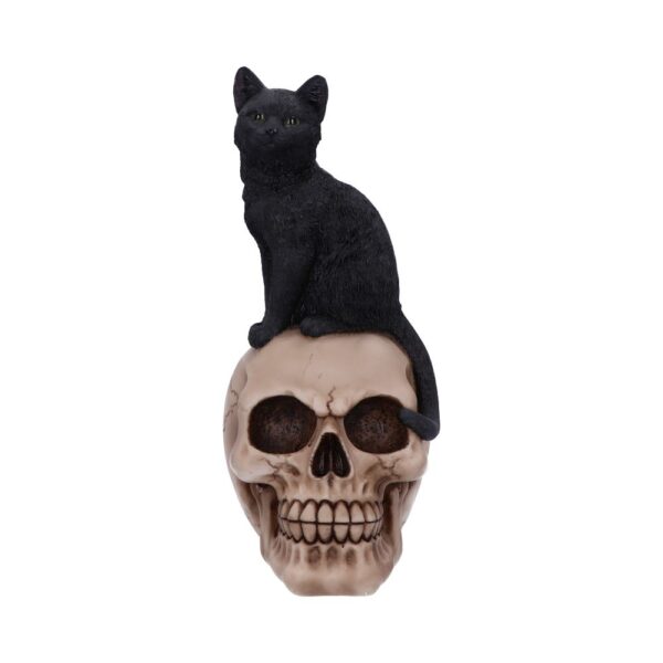 Familiar Fate 24.3cm Black Witches Cat and Skull Figurine - Image 2