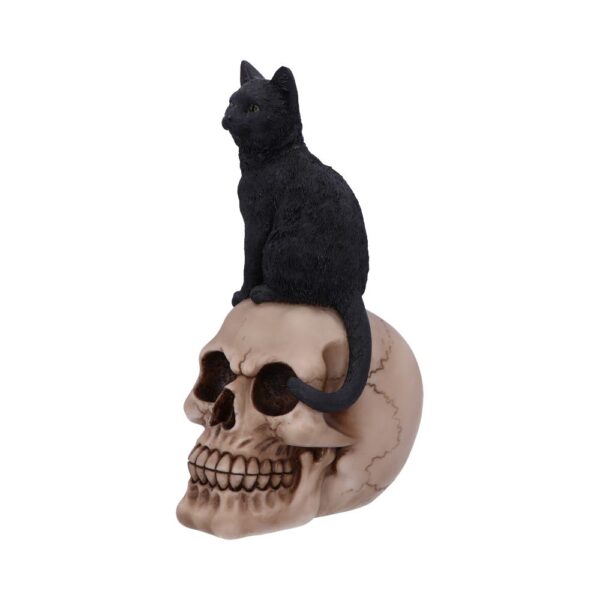 Familiar Fate 24.3cm Black Witches Cat and Skull Figurine - Image 3