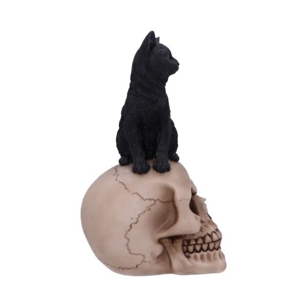 Familiar Fate 24.3cm Black Witches Cat and Skull Figurine - Image 4