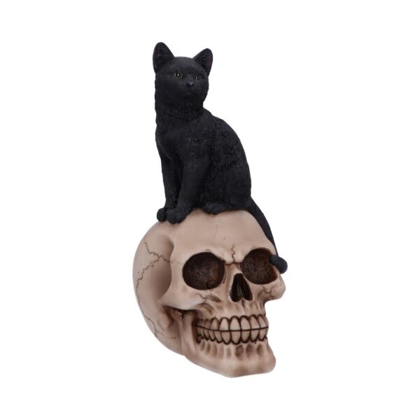 Familiar Fate 24.3cm Black Witches Cat and Skull Figurine