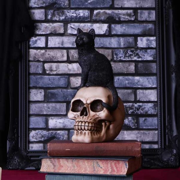 Familiar Fate 24.3cm Black Witches Cat and Skull Figurine - Image 5