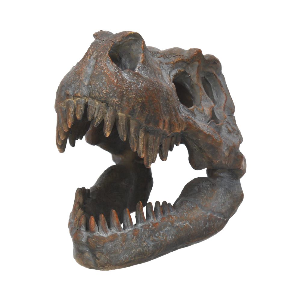 Freestanding Tyrannosaurus Rex Skull Figurine Ornament - Image 2