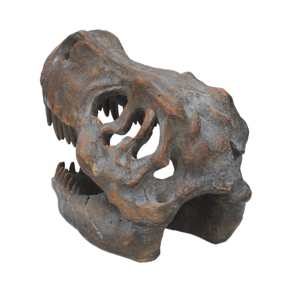 Freestanding Tyrannosaurus Rex Skull Figurine Ornament - Image 4