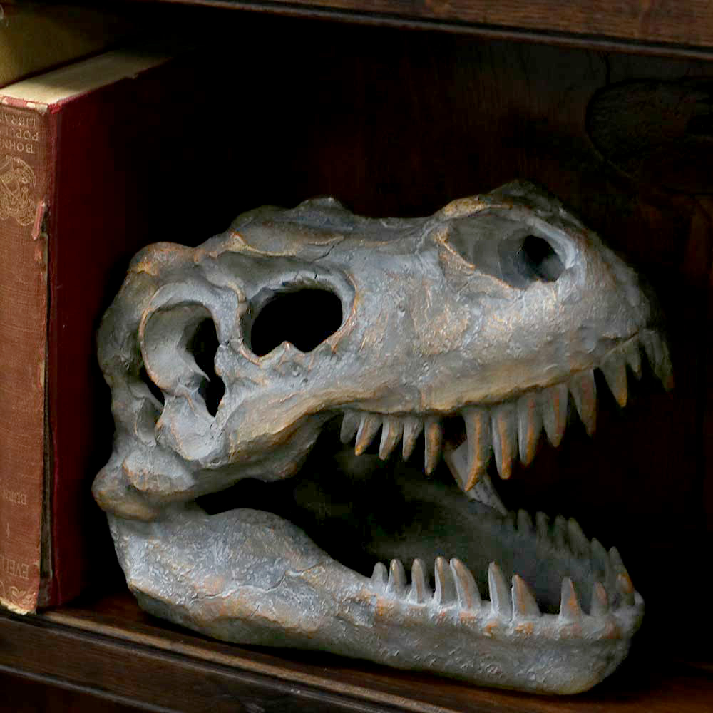 Freestanding Tyrannosaurus Rex Skull Figurine Ornament - Image 5