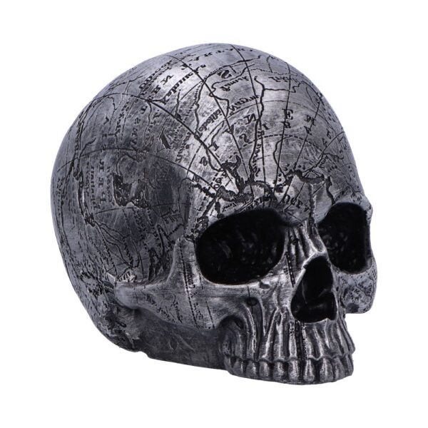 Mind Map Skull Head 15cm