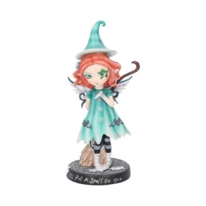 I'll Put A Spell On You Fairy With her Broomstick 19.5cm