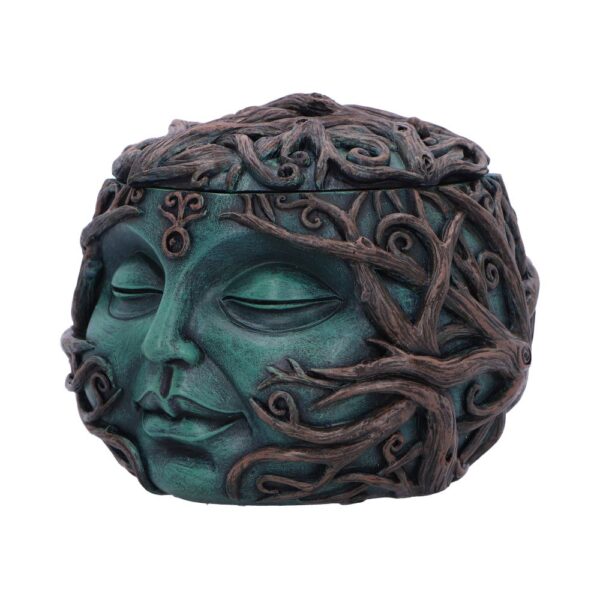 Tree Spirit Head Treasure Box 13cm - Image 3