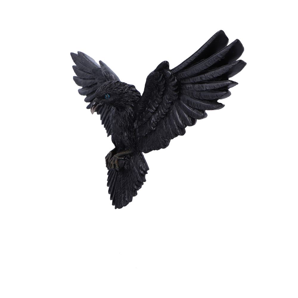 Flight of the Raven Wall Hanging Decoration - Image 2