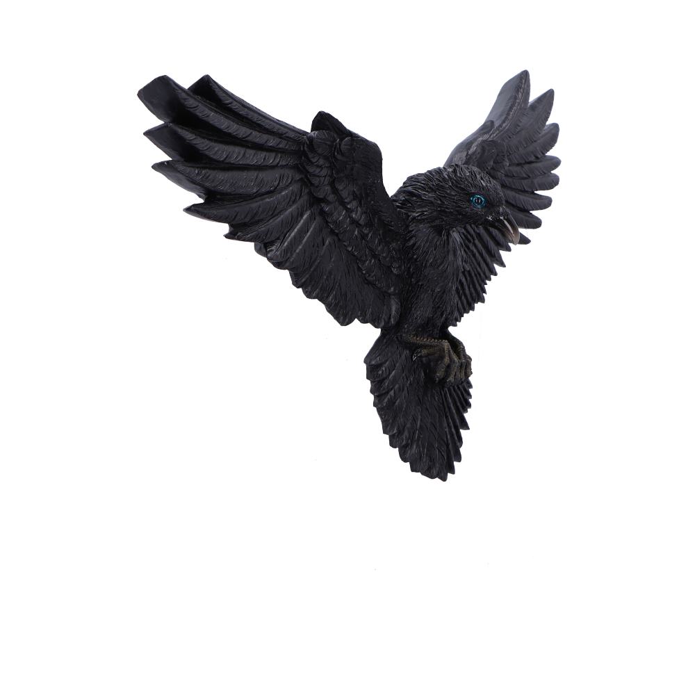 Flight of the Raven Wall Hanging Decoration - Image 4