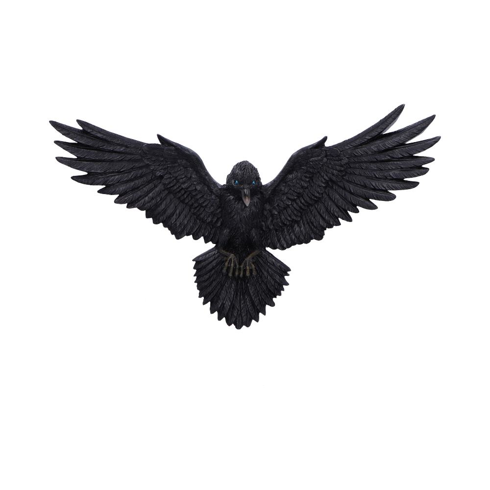Flight of the Raven Wall Hanging Decoration