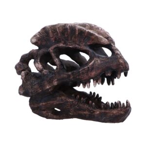 Dilophosaurus Skull Resin Replica