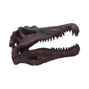 Spinosaurus Skull Resin Replica