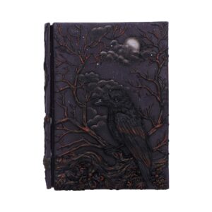 Raven's Grimoire Journal 19cm