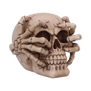 Cracked Decorative Resin Skull