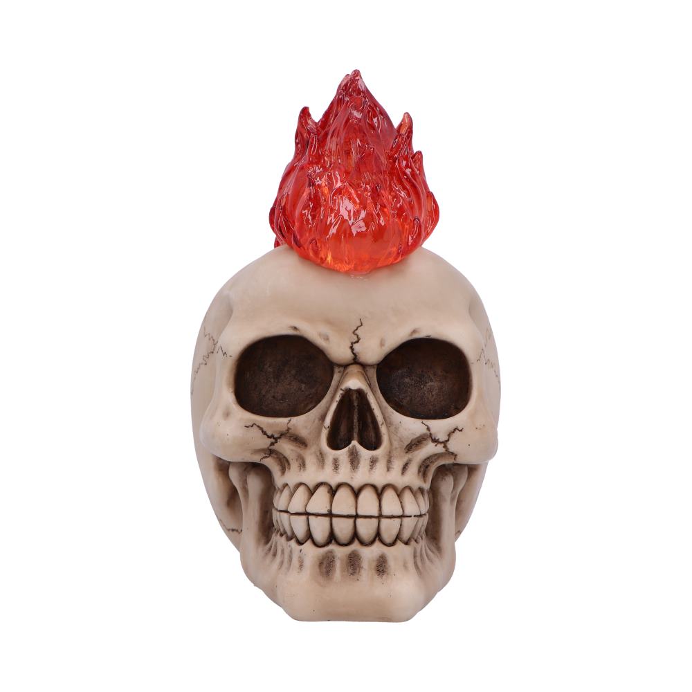 Hot-Headed Decorative Resin Skull - Image 4