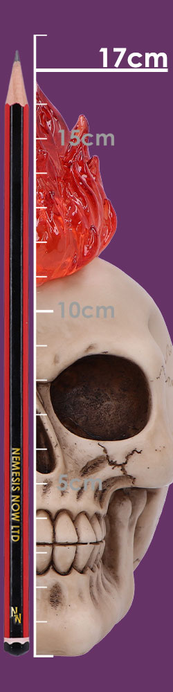Hot-Headed Decorative Resin Skull - Image 2