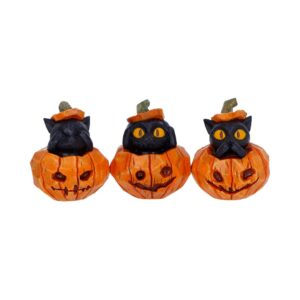 Three Halloween pumpkins with black cats on top, arranged in a row as decorations.