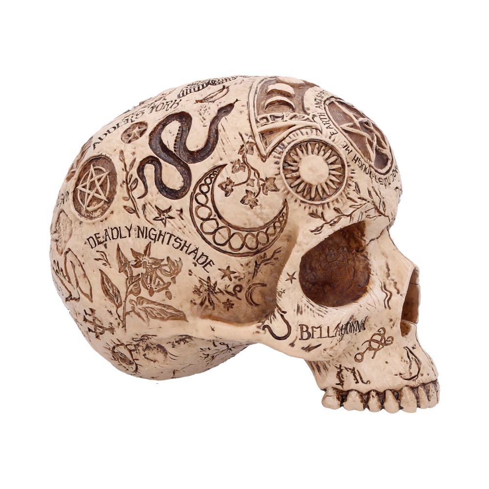 Decorative skull sculpture covered in occult and symbolic engravings, light beige with dark etched designs
