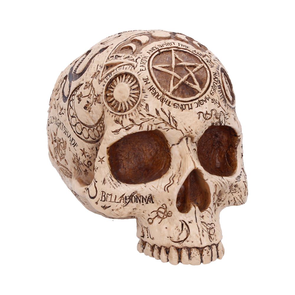 Decorative beige skull statue covered in engravings and symbols, including a pentagram on the forehead.