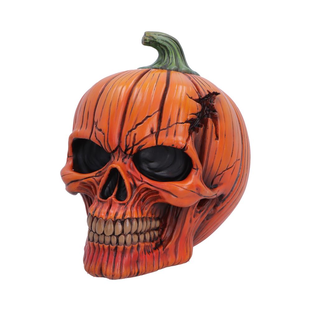 Decorative Halloween pumpkin skull with a green stem and cracked orange surface, showing hollow eye sockets and teeth