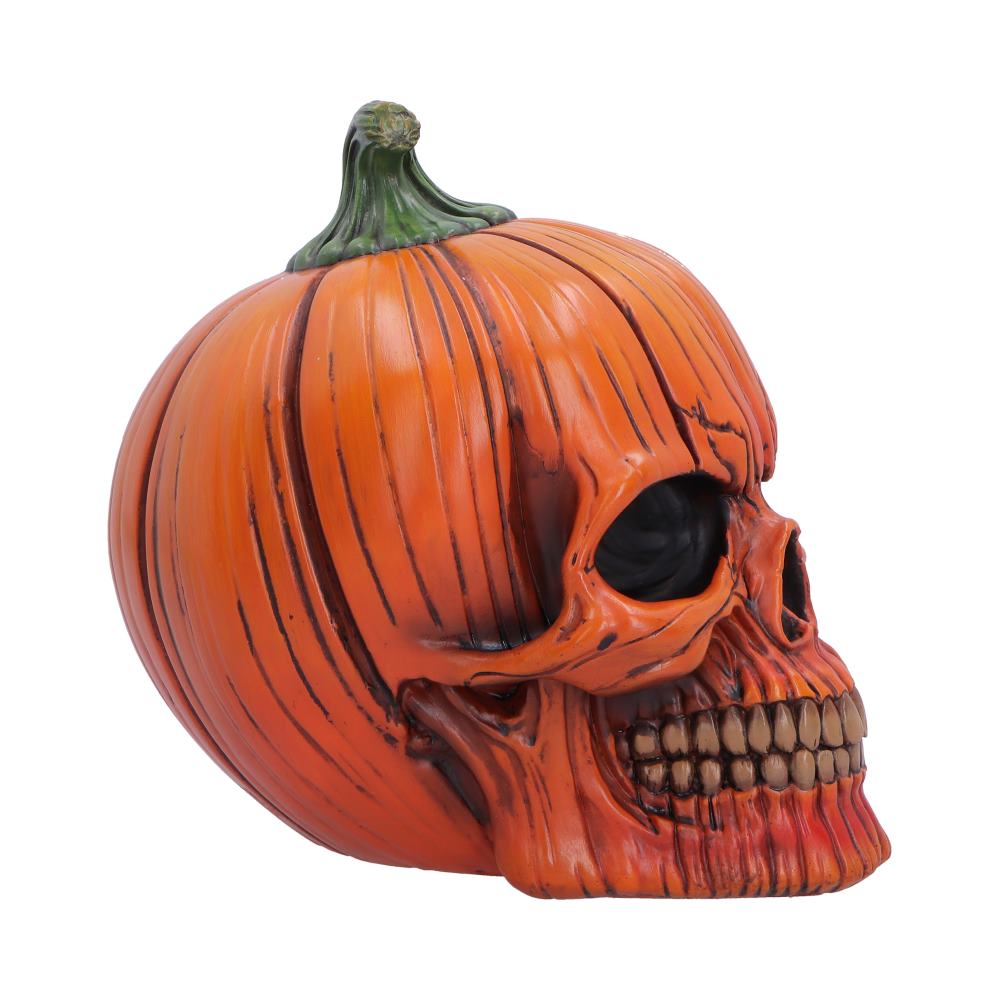 Orange pumpkin skull decoration for Halloween, carved with a skeletal face and dark eye sockets.