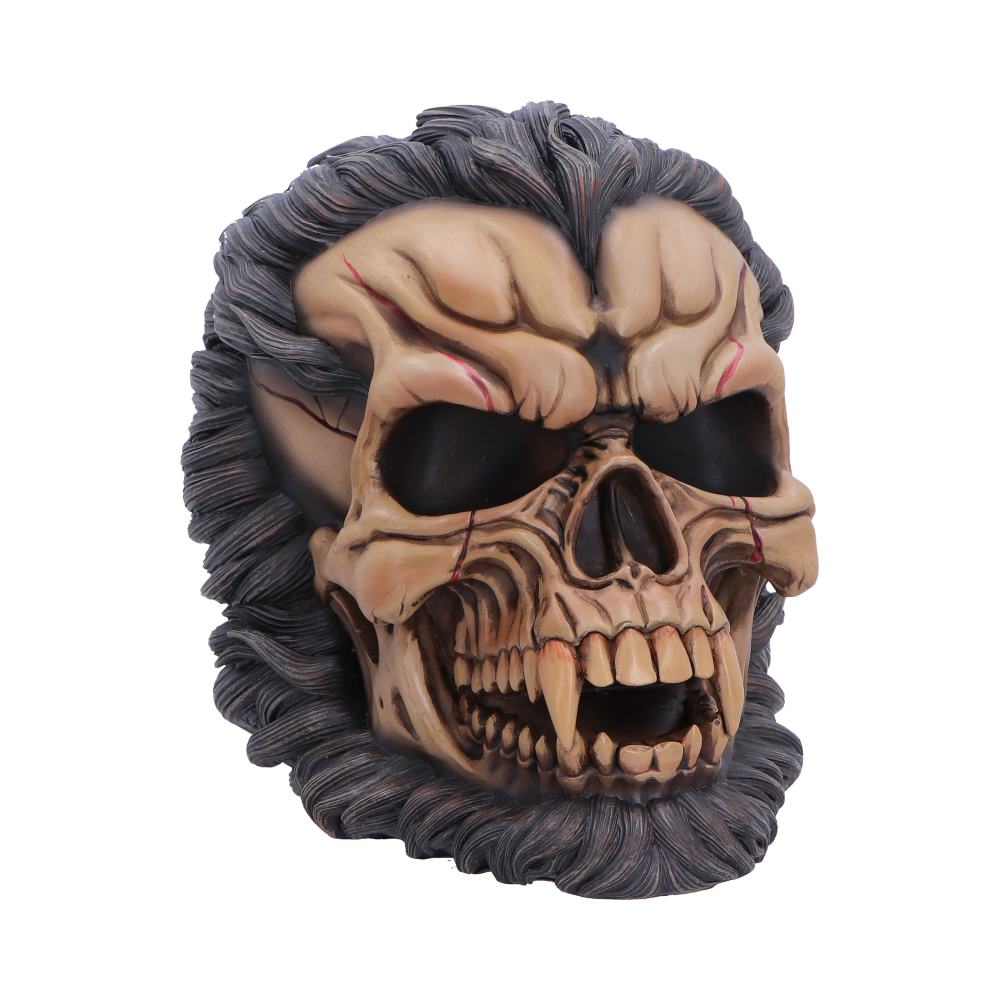 Werewolf skull mask with dark fur and detailed bone features, used as a Halloween prop