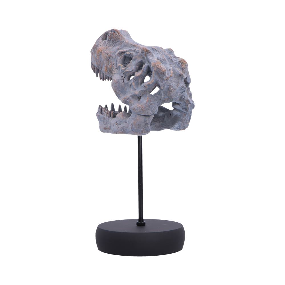 Dinosaur skull replica mounted on a black display stand