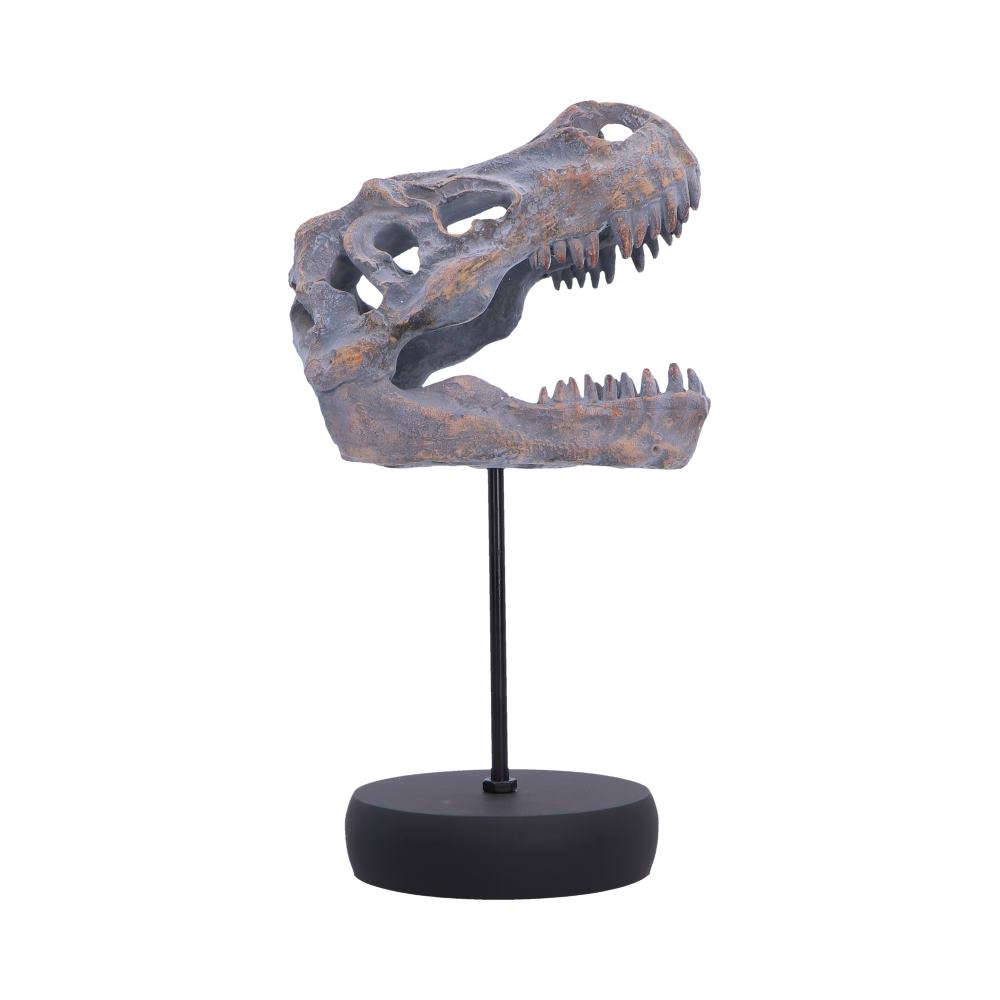 Dinosaur skull replica mounted on a vertical rod with a round black base, textured gray-brown look