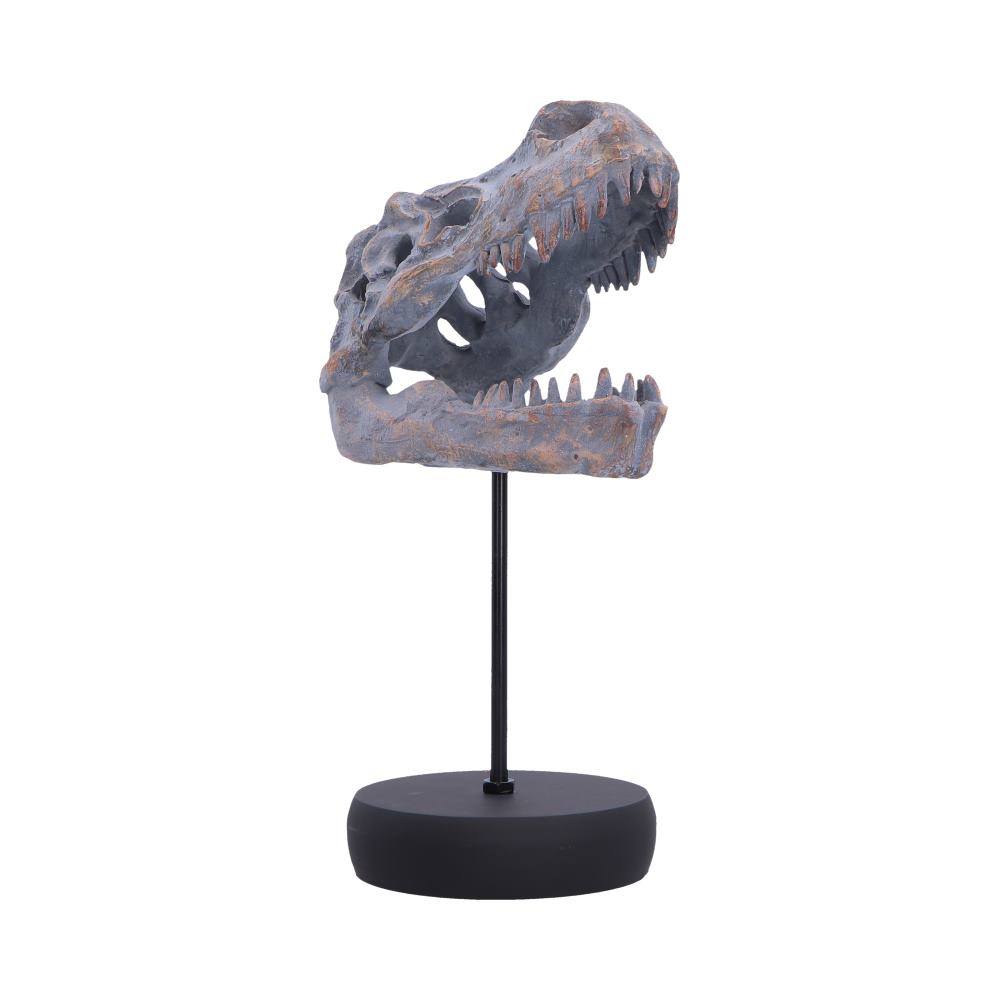 Dinosaur skull replica mounted on a black display stand against a white background.
