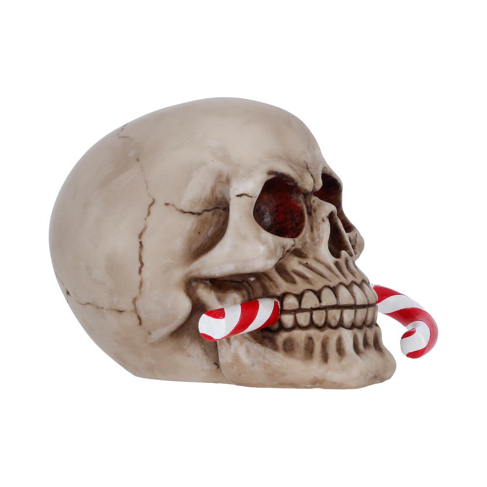 Decorative skull prop with red-and-white candy canes held in its bite, for Halloween decor.