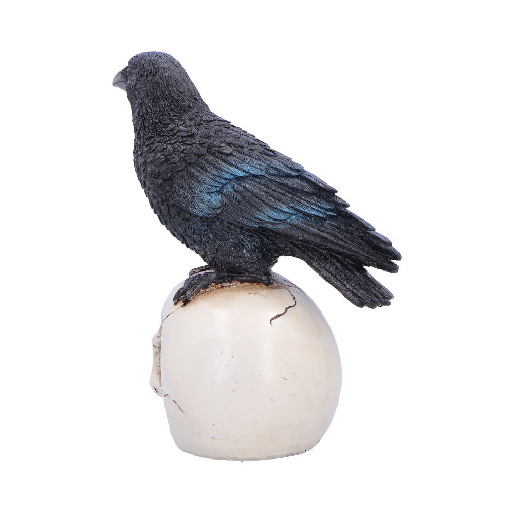 Black raven statue perched on a cracked white egg pedestal for decoration as an ornament.