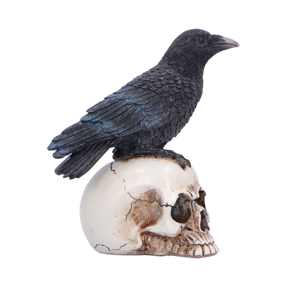 Decorative sculpture of a black raven perched on a human skull on a white background.