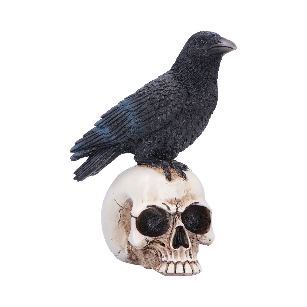 Decorative black raven statue perched on a white skull base.