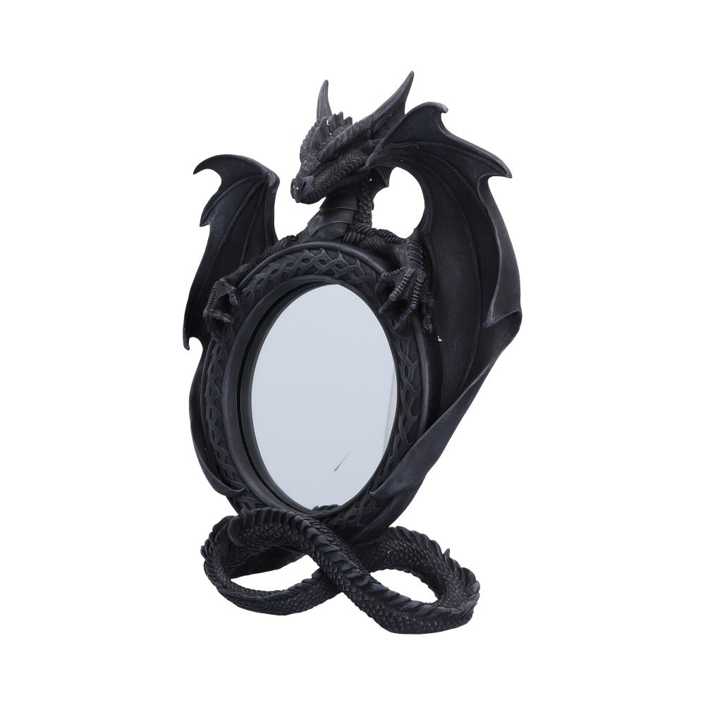 Darkwing Reflection Display Mirror 37.3cm - Image 2