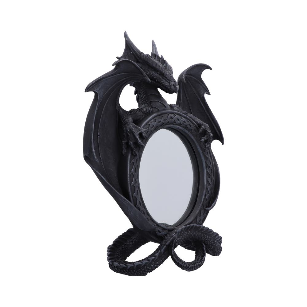 Darkwing Reflection Display Mirror 37.3cm - Image 4