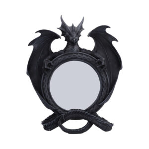 Darkwing Reflection Display Mirror 37.3cm