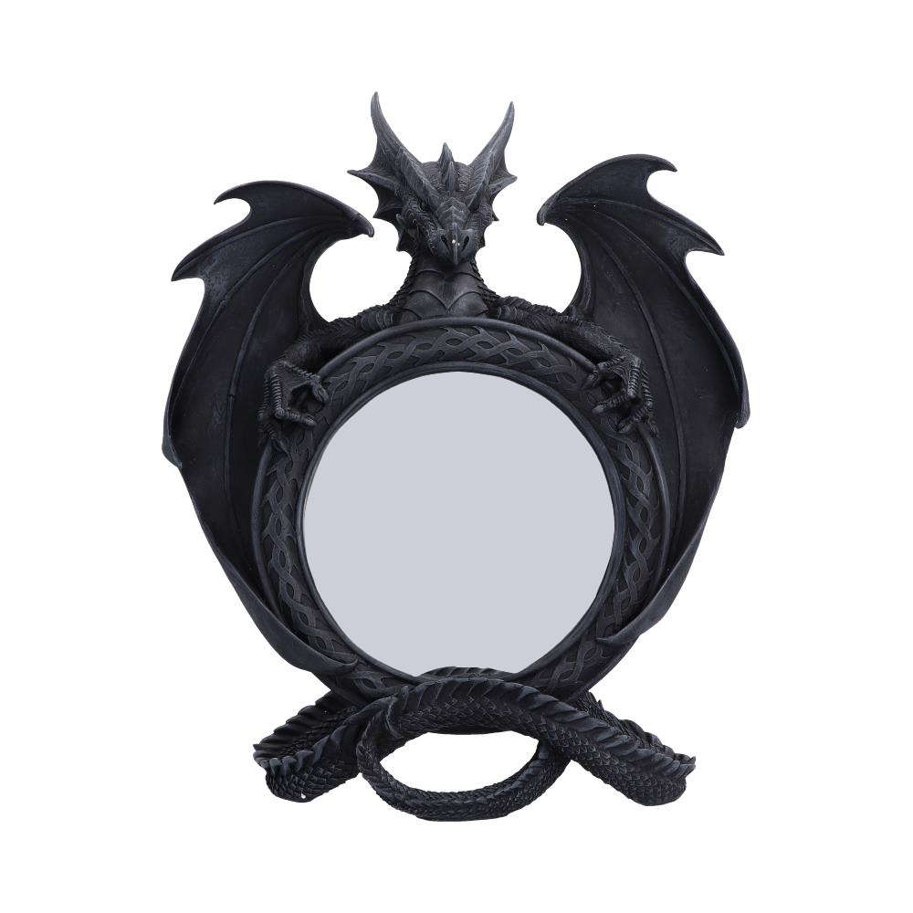 Darkwing Reflection Display Mirror 37.3cm