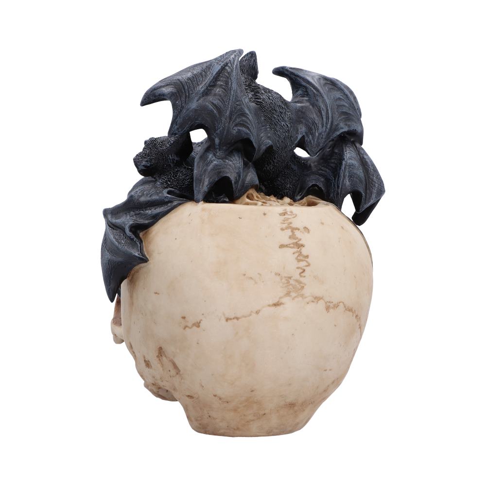 Swarm of Shadows Skull Figurine 19cm - Image 3